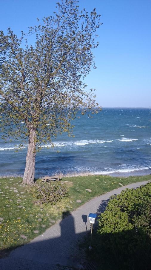 Strandappartement Steinberghaff "Zur Birk" Mit Meerblick Steinberg  Exterior foto